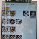 메가엠지씨커피 신내시티프라디움점 | 수제만두 맛집 송도만두 신내역점 포장후기