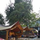 도림사 오토캠핑장 이미지