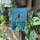 창문 넘어 도망친 100세 노인 | 창문 넘어 도망친 100세 노인 줄거리 결말 리뷰 | 인생이 답답할 때 읽는 책