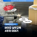 (주)에스엘바이오 | [비긴랩 서울캠퍼스] 바이오 실무교육 4주차_어쩌다 얻어걸린 해피엔딩_Cloning Condition, Colony PCR