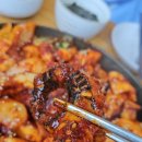 조가네갑오징어 - 세종특별자치시 아름서1길 13-9 | 조가네갑오징어