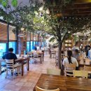 돈까스클럽 거제점 이미지