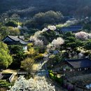 남간정사 이미지