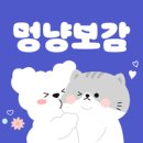 통일동물병원 | 동물병원 진료비 공시제? 그게 대체 뭔데!