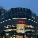 101마리 애견 | 수원 스타필드 애견동반 식당 달마시안 방문 후기♥ (feat, 별마당도서관)