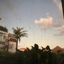 인보농장 | [발리신혼여행] 1일차 우붓으로 이동 / 우붓시내관광 / 푸리세발리리조트