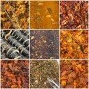 초원애한식뷔페 이미지