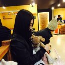 도니독 | [도니독]천안 애견카페.쌍용동데이트코스로 추천♥