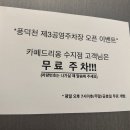 수지카페