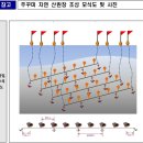 자연알로(보령) 이미지