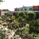 대지농산 이미지