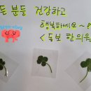 클로버한의원 이미지