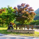 내장산국립공원화장실(야영장) 이미지