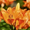 지에스(GS)25 진주프리미엄점 이미지