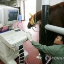 한국마사회 제주육성목장 동물병원 이미지