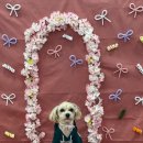 멍케어존 이미지