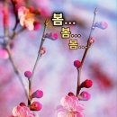 야외정원 스케치 이미지