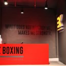 이엑스 복싱(EX BOXING) 이미지