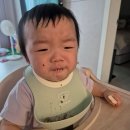 감자푸드 | 9개월 밥태기 극복한 푸드케어 클레 이유식 (cle), 한우애호박감자죽 후기