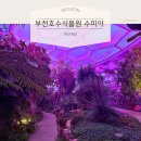 부천시단기청소년쉼터 | 부천 가볼만한곳 수피아 야간개장 주차 및 예약 방법 아바타 숲 실사판 후기