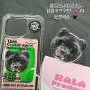 커들리 독 이미지