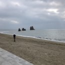 숲속의바다펜션 이미지