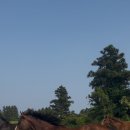 승혜목장 이미지