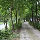 홍천군서면모곡보건진료소 | [12th] 오션월드 근처 홍천비발디캠핑파크