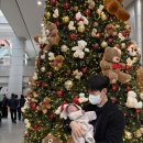 청진약품 | 신촌 세브란스 신생아 BCG 접종 및 외래진료 후기(준비물, 수유실 위치, 가격 등)