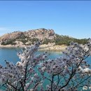 군도 | 4/18(토) 고군산군도 여행 후기