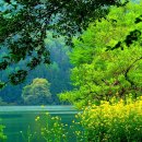 소중하개 이미지