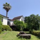 팜트리 빌리지 이미지