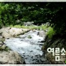 판교초교 이미지