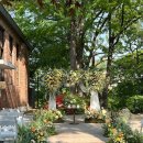 자작&white | < 2025 > _ 자작마루 실제 진행 후기 #8