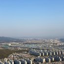 대구주단