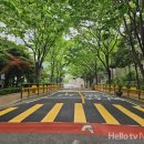 반안초교 이미지