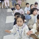 샘솔유치원 이미지