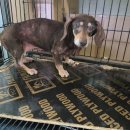 웅동2동행정복지센터 이미지