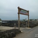 온평리-7 이미지