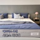 레스트펫 | 뷰티레스트 매트리스 추천 시몬스 미아점 방문 후기