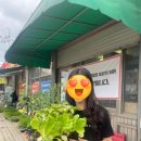 자선종묘사 이미지