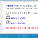 카멜리아 이미지