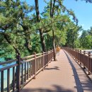 금탑체육관 이미지