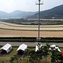 마글램핑장 이미지