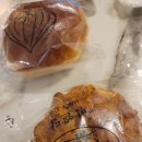 신영마을경로당 | [국토대장정] 와, 말이 안 나오는 (7일차 공주종합버스터미널~논산역)