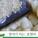 화순 송단 복조리 마을 이미지