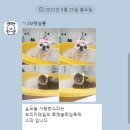 의정부 애견호텔 SM펫살롱 이미지