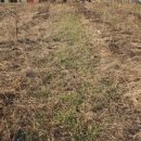 도촌농장 이미지