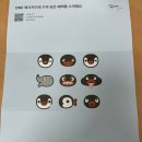 우산중학교 | 케이뱅크 핑구카드 (ONE체크카드, K-패스 기능) 이벤트 혜택 &amp; 핑가카드 실물 후기