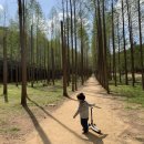 영해목장 이미지